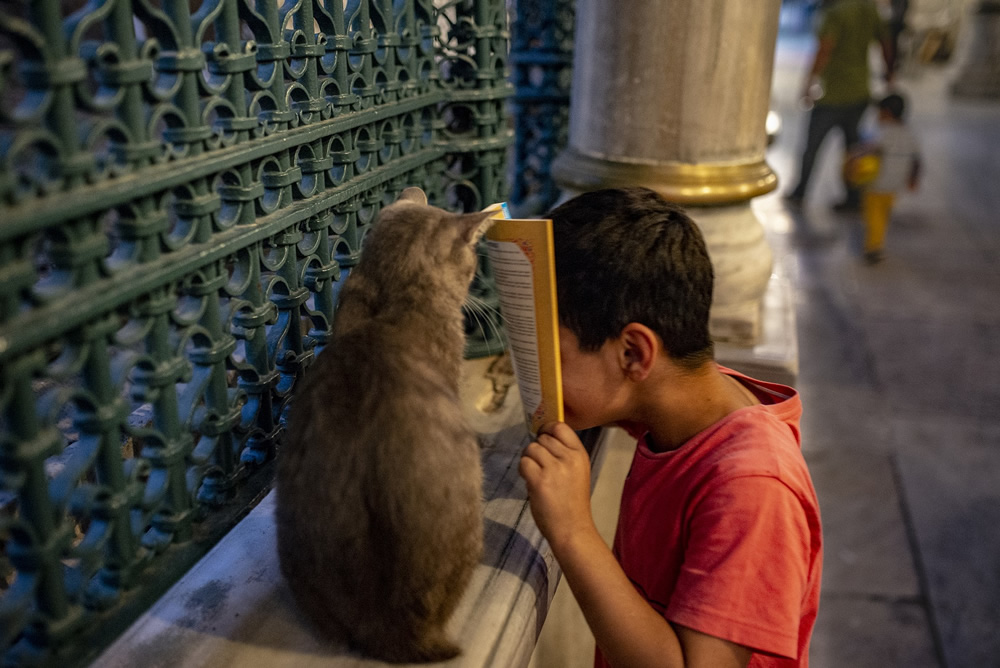 My Personal Best: Turkish Photographer Enes Reyhan