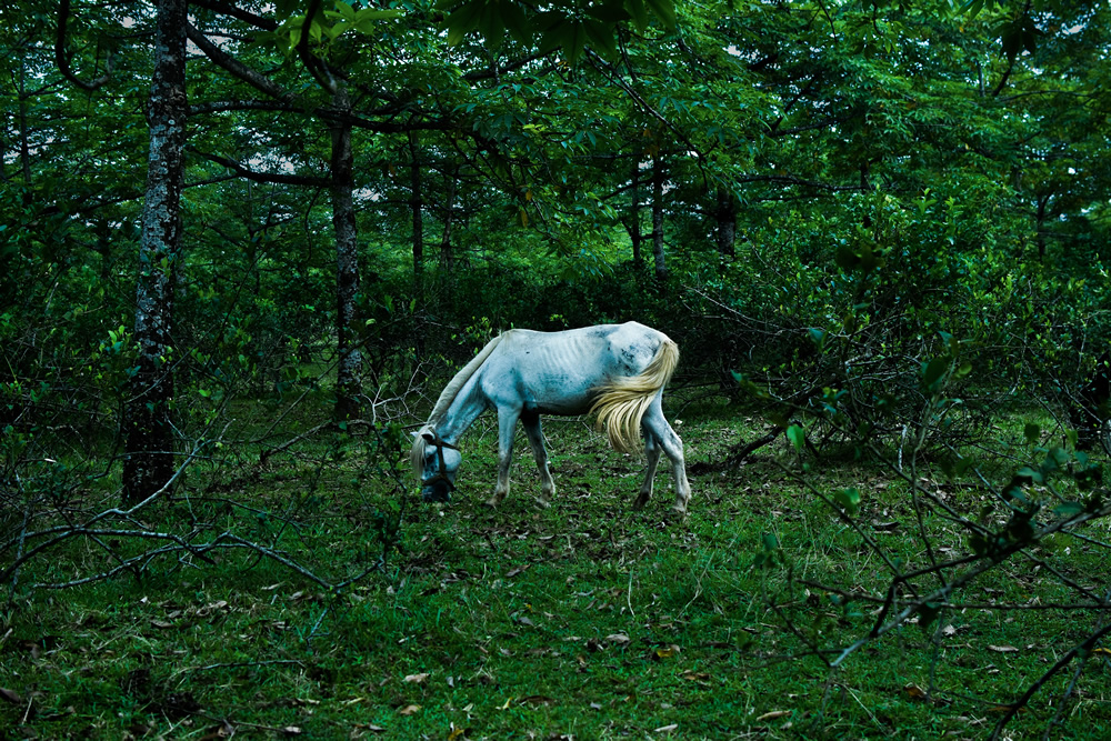 My Personal Best: Bangladeshi Photographer Gourab Saha