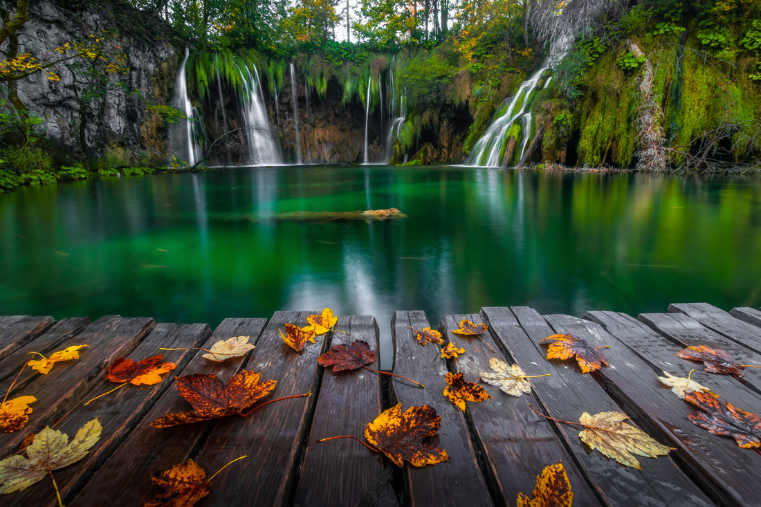 Top Photographer - Zoran Stegnjaic, Croatia