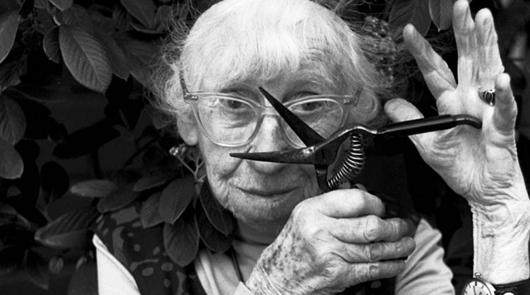 Imogen Cunningham Master Photographer