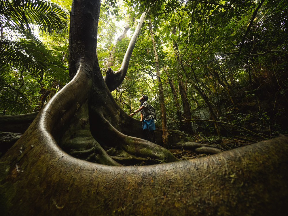 Iriomote-jima: Beautiful Island in Japan Captured by Ben Simon Rehn