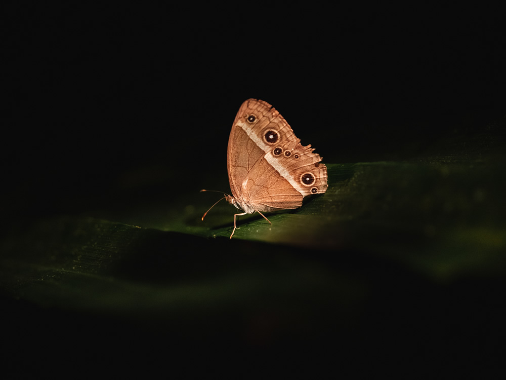 Iriomote-jima: Beautiful Island in Japan Captured by Ben Simon Rehn