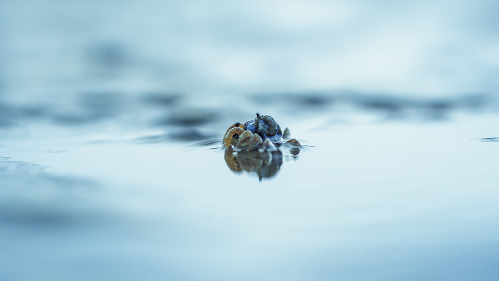 Iriomote-jima: Beautiful Island in Japan Captured by Ben Simon Rehn