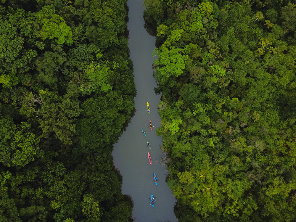 Iriomote-jima: Beautiful Island in Japan Captured by Ben Simon Rehn