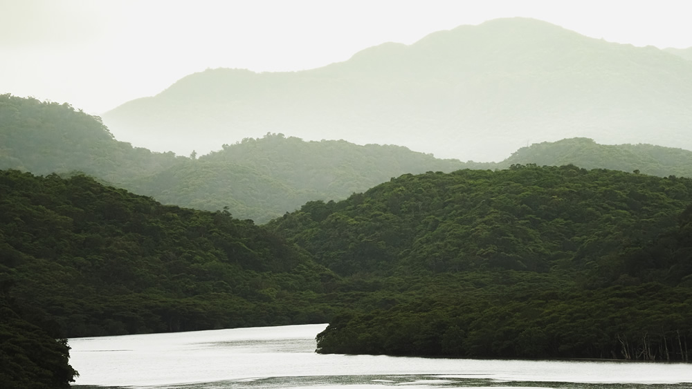 Iriomote-jima: Beautiful Island in Japan Captured by Ben Simon Rehn