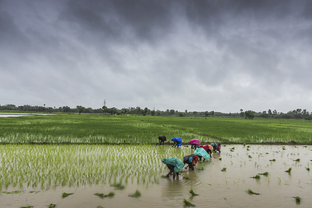 Interview With Indian Travel Photographer Naveen Gowtham