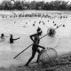 Polo Bawa: Traditional Fishing Festival in Bangladesh by Ayman Nakib