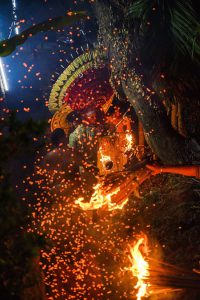 Theyyam Festival by As Dnyaneshwar Vaidya