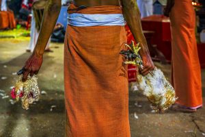 Theyyam Festival by As Dnyaneshwar Vaidya