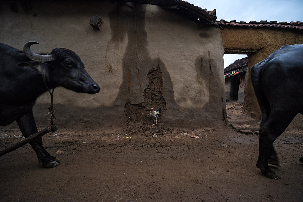 Wall Around Us by Sanghamitra Bhattacharya