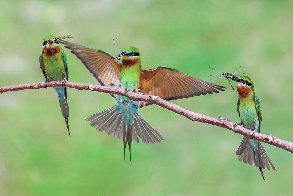 Interview With Indian Nature Photographer Arindam Saha