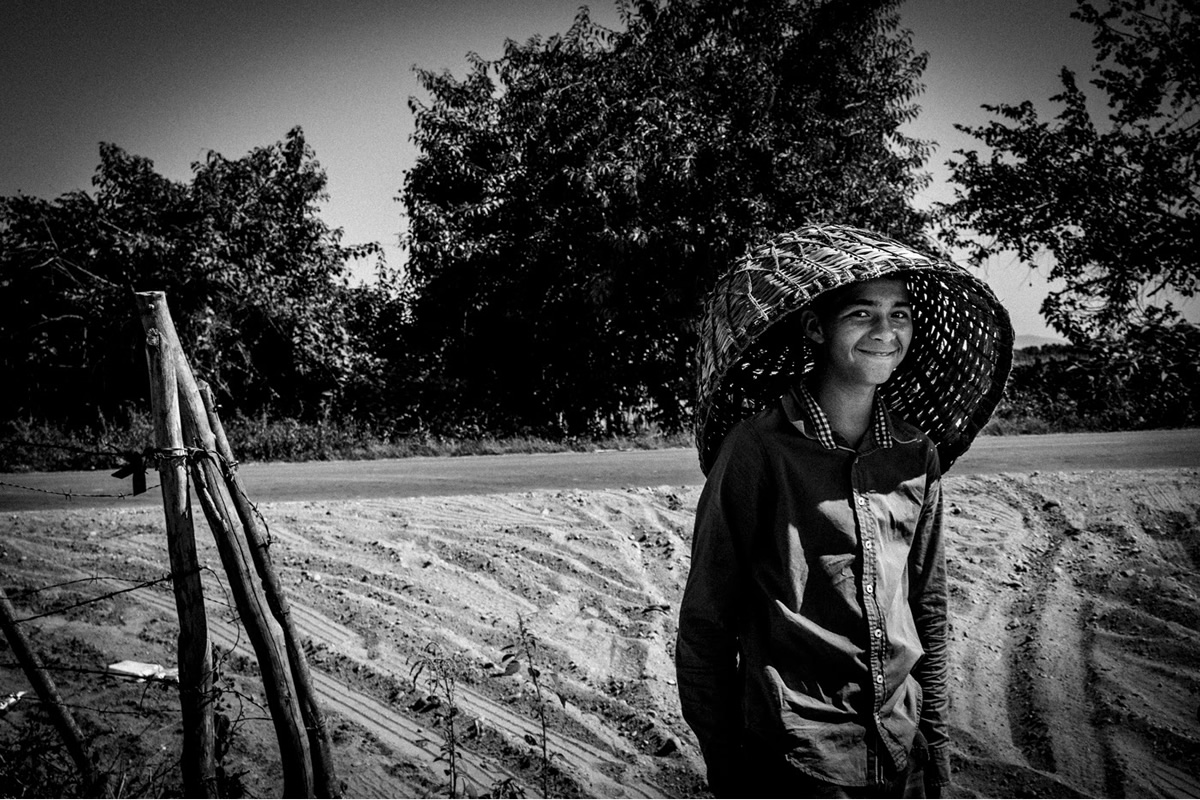 It's Chile Picking Season In Sinaloa México By Matt Mawson