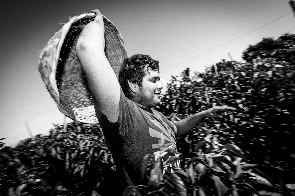 It's Chile Picking Season In Sinaloa México By Matt Mawson