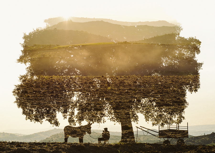 Continuum Plateau: Life As Heritage In The Miranda Plateau By Christoffer Relander