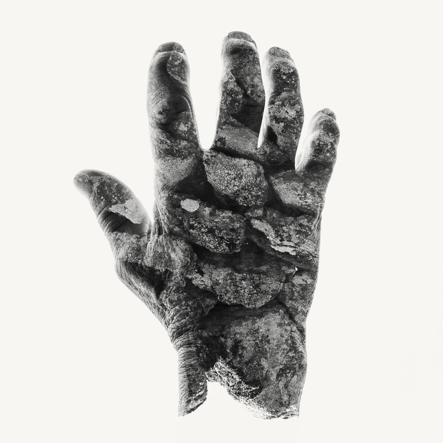 Continuum Plateau: Life As Heritage In The Miranda Plateau By Christoffer Relander