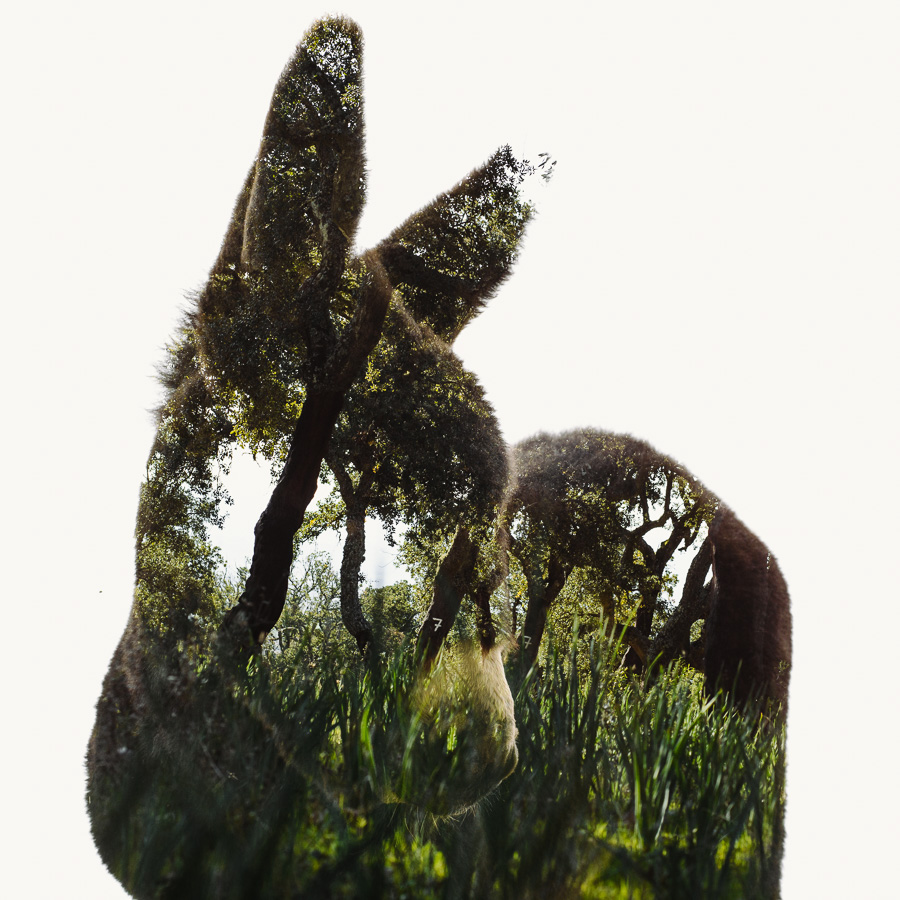 Continuum Plateau: Life As Heritage In The Miranda Plateau By Christoffer Relander