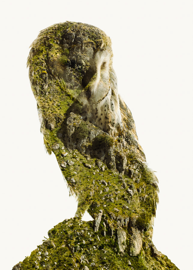 Continuum Plateau: Life As Heritage In The Miranda Plateau By Christoffer Relander