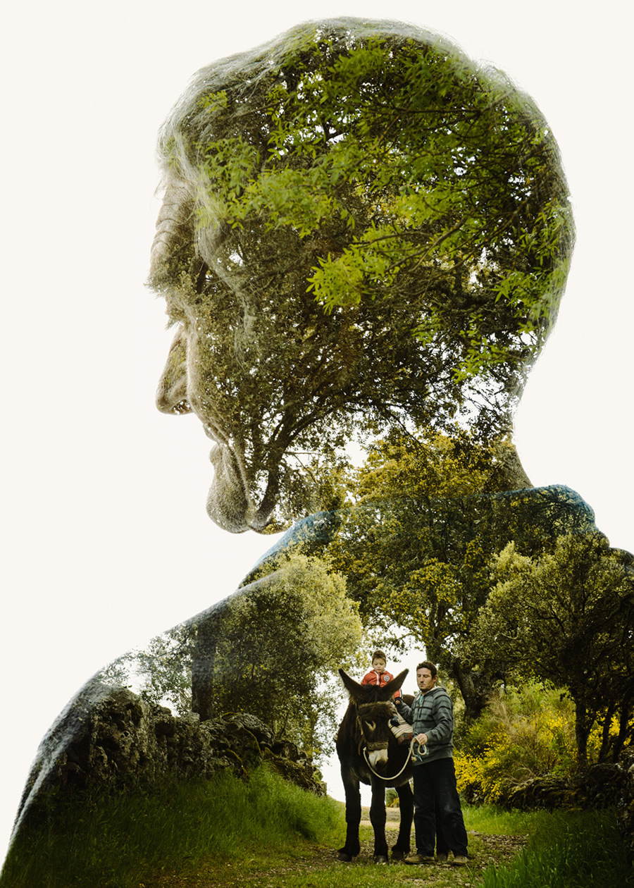 Continuum Plateau: Life As Heritage In The Miranda Plateau By Christoffer Relander