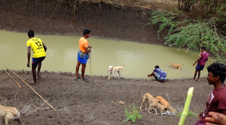 Karisakadu: A Remote Village In TamilNadu By Pranav