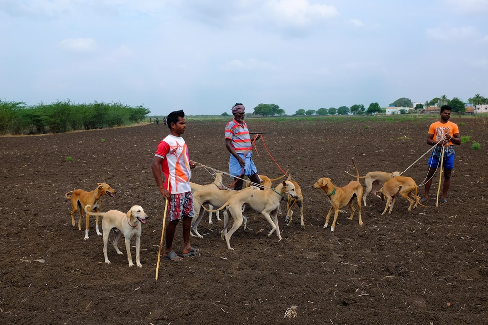 Karisakadu: A Remote Village In TamilNadu By Pranav