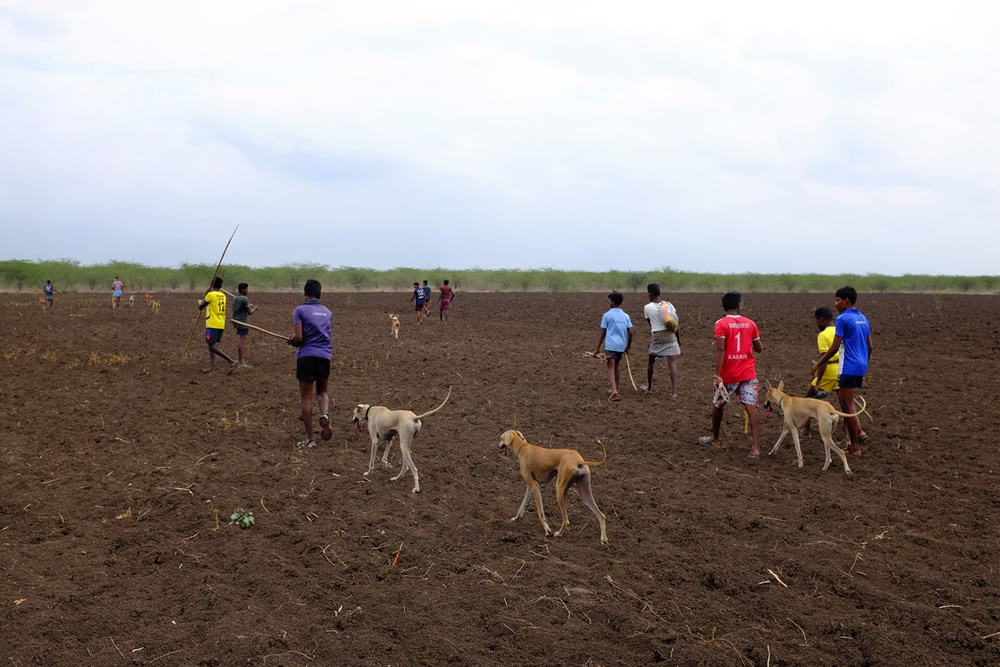 Karisakadu: A Remote Village In TamilNadu By Pranav