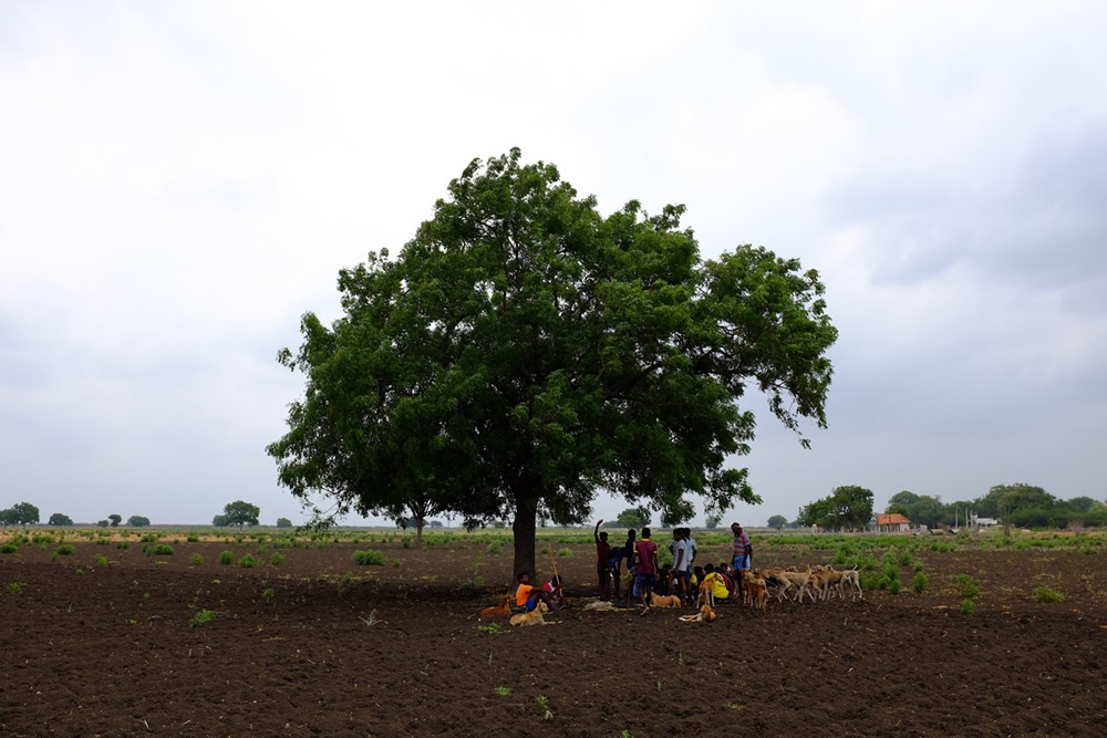 Karisakadu: A Remote Village In TamilNadu By Pranav