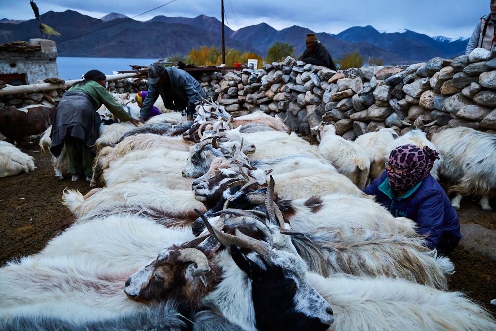 Ladakh: An Overview By Travel Photographer Bhagi Siva 