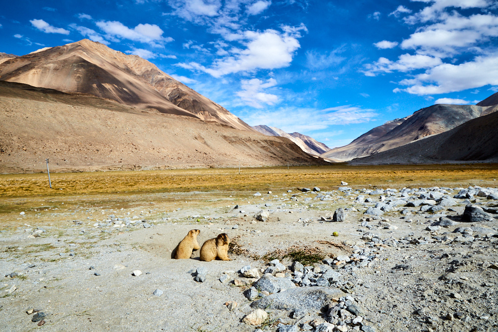 Ladakh: An Overview By Travel Photographer Bhagi Siva 