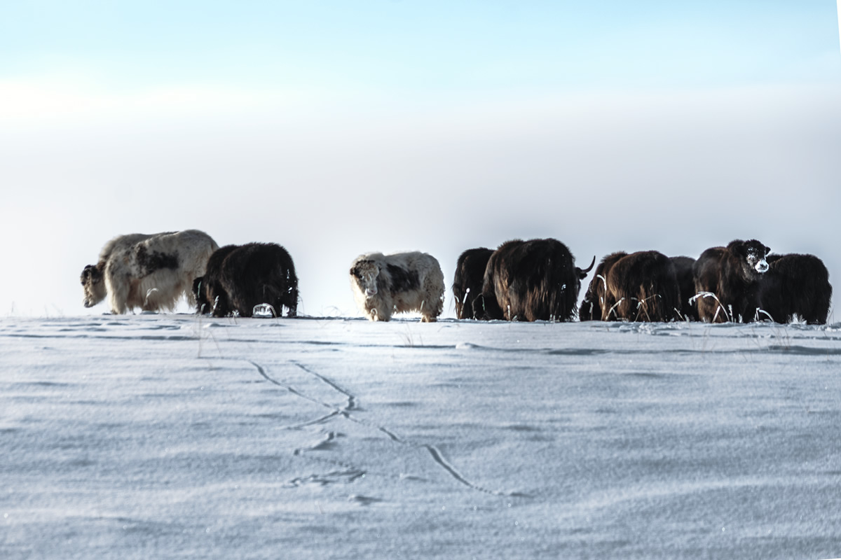 Lake Baikal: Beautiful Travel Experience by Eveline Iagofarova