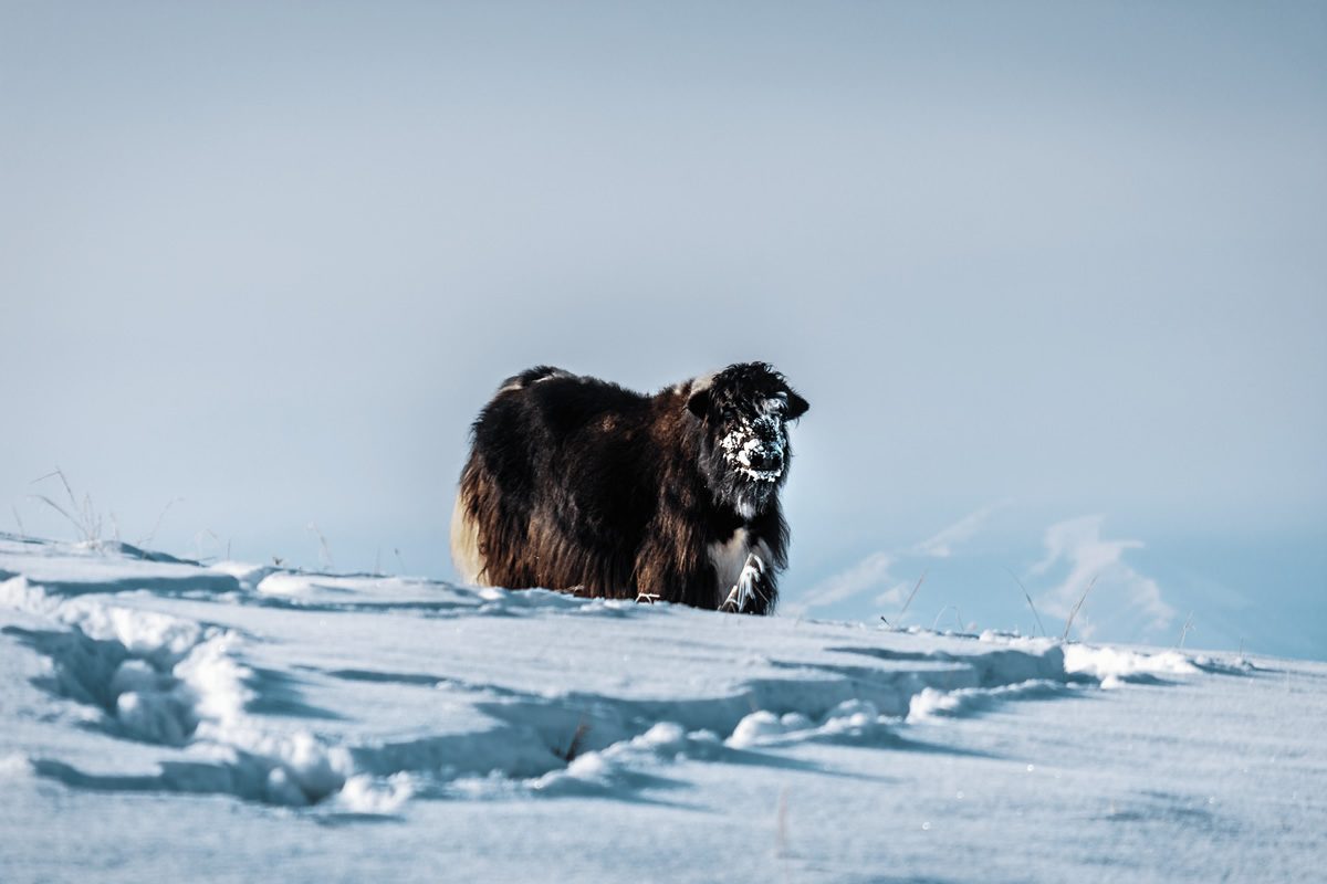 Lake Baikal: Beautiful Travel Experience by Eveline Iagofarova