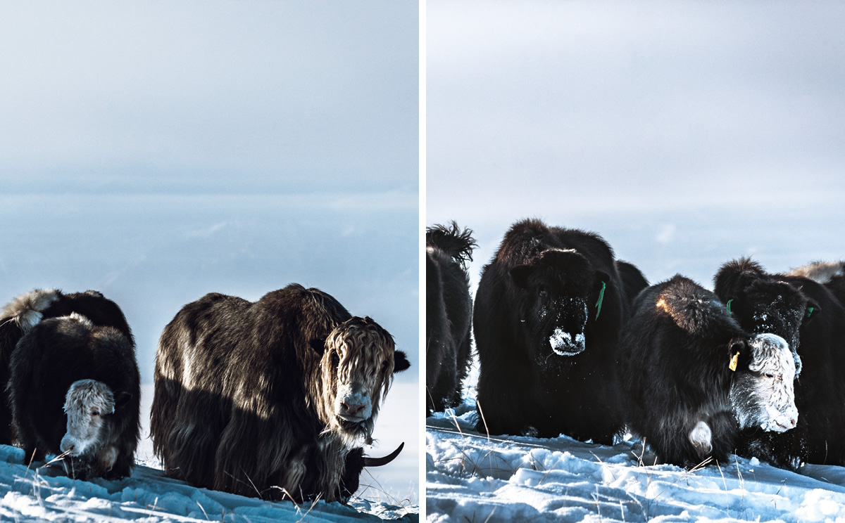 Lake Baikal: Beautiful Travel Experience by Eveline Iagofarova