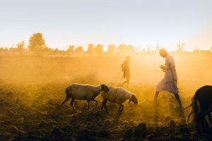 Looking Light In The Eye by Sankar Sridhar