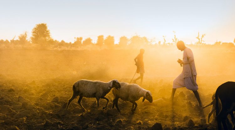 Looking Light In The Eye by Sankar Sridhar