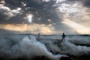 Looking Light In The Eye by Sankar Sridhar