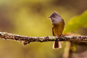 Personal Best: Sriram Raghavan