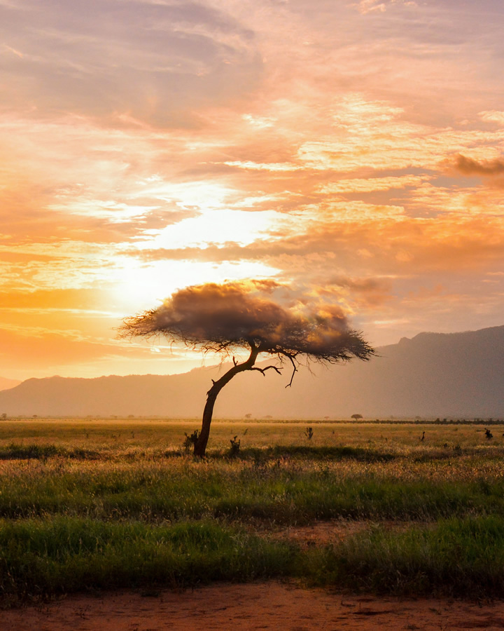 Dreamy & Surreal Landscape Photography By Justin Peters