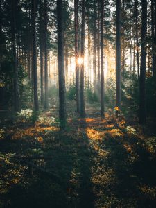 This Is Sweden: Beautiful Landscape Photography By Tobias Hägg