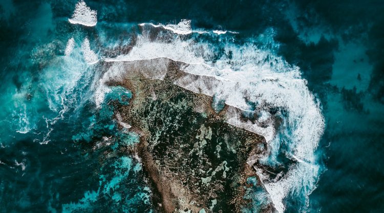 The Coral Reef: Great Barrier Reef In Australia Captured by Tom Hegen