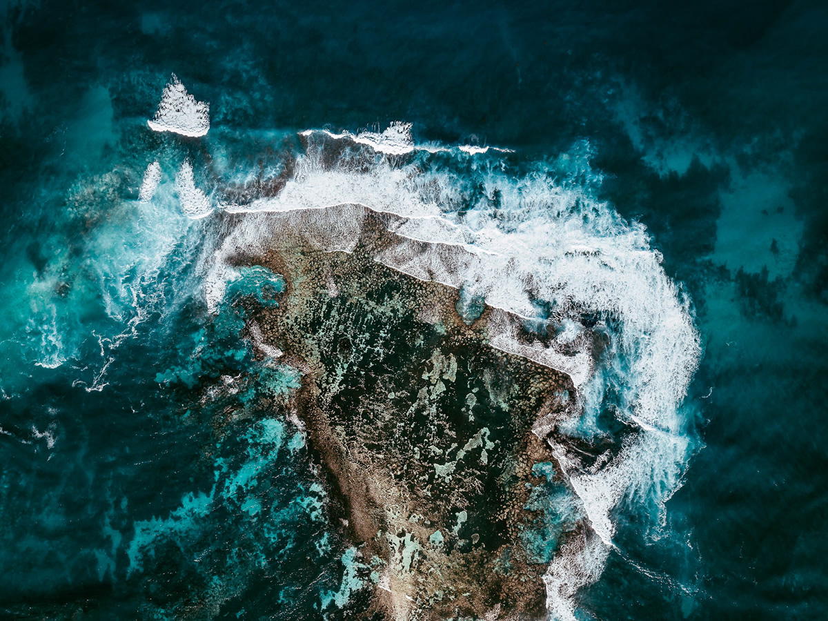 The Coral Reef: Great Barrier Reef In Australia Captured by Tom Hegen