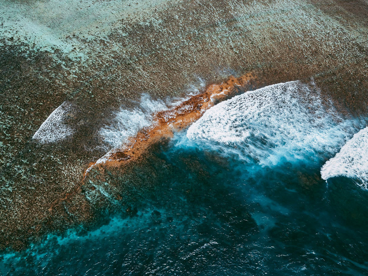 The Coral Reef: Great Barrier Reef In Australia Captured by Tom Hegen