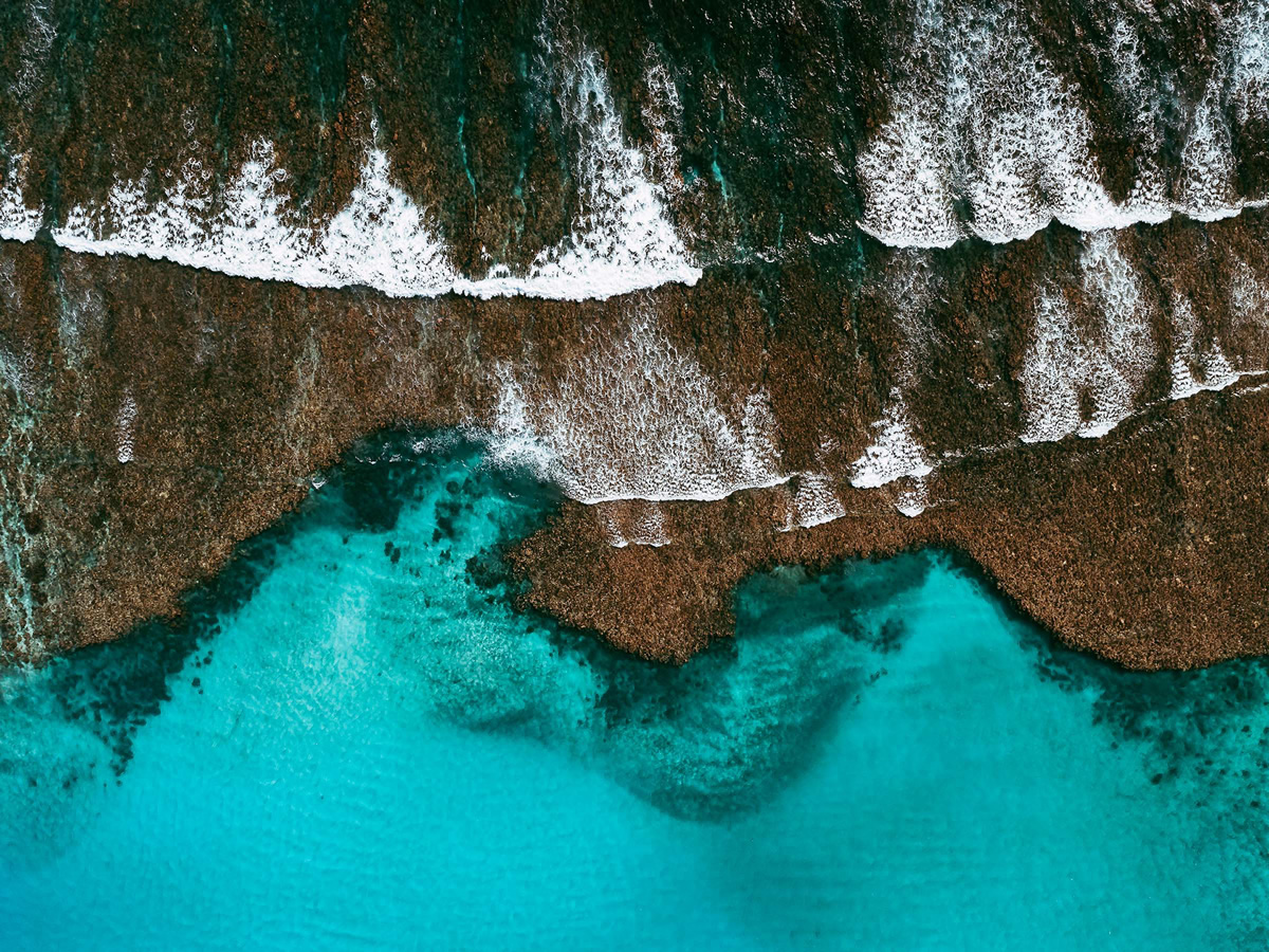 The Coral Reef: Great Barrier Reef In Australia Captured by Tom Hegen