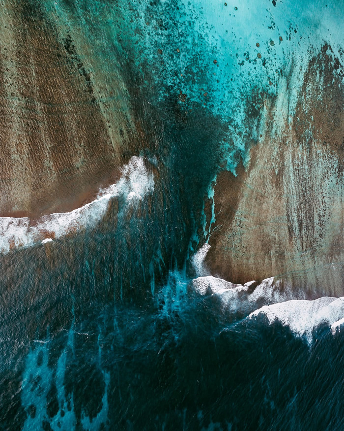 The Coral Reef: Great Barrier Reef In Australia Captured by Tom Hegen