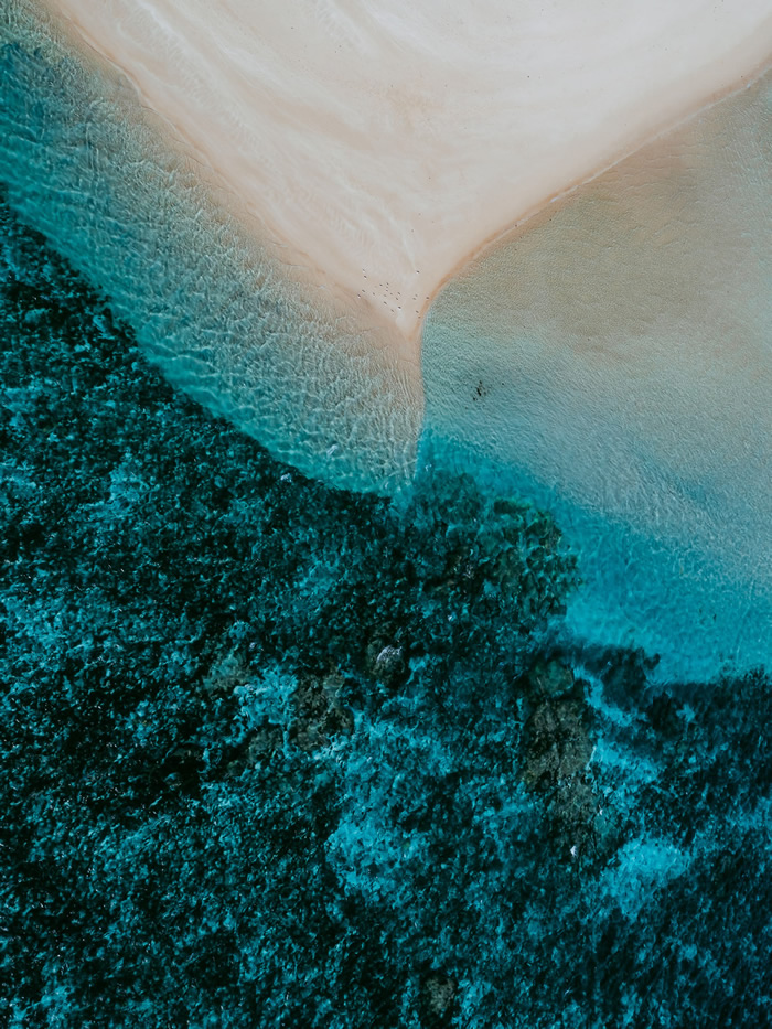 The Coral Reef: Great Barrier Reef In Australia Captured by Tom Hegen