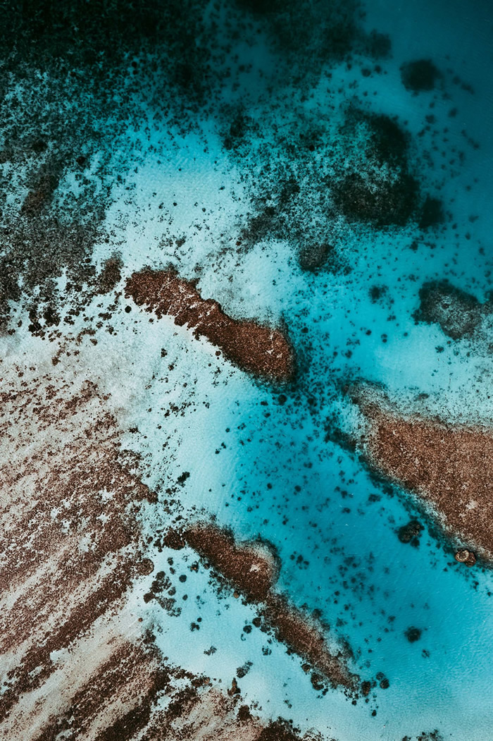 The Coral Reef: Great Barrier Reef In Australia Captured by Tom Hegen