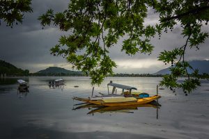 The River Through My Backyard by Pinki Sanyal