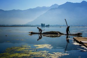 The River Through My Backyard by Pinki Sanyal