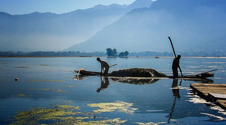 The River Through My Backyard by Pinki Sanyal