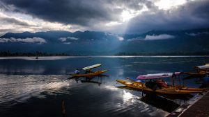 The River Through My Backyard by Pinki Sanyal