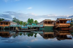 The River Through My Backyard by Pinki Sanyal