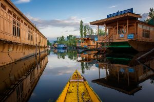 The River Through My Backyard by Pinki Sanyal